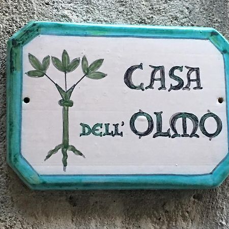 Apartmán Casa Dell'Olmo Orvieto Exteriér fotografie